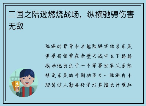 三国之陆逊燃烧战场，纵横驰骋伤害无敌